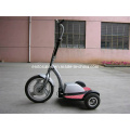 350W36V Brushless 3 Wheel Electric Scooter Et-Es002